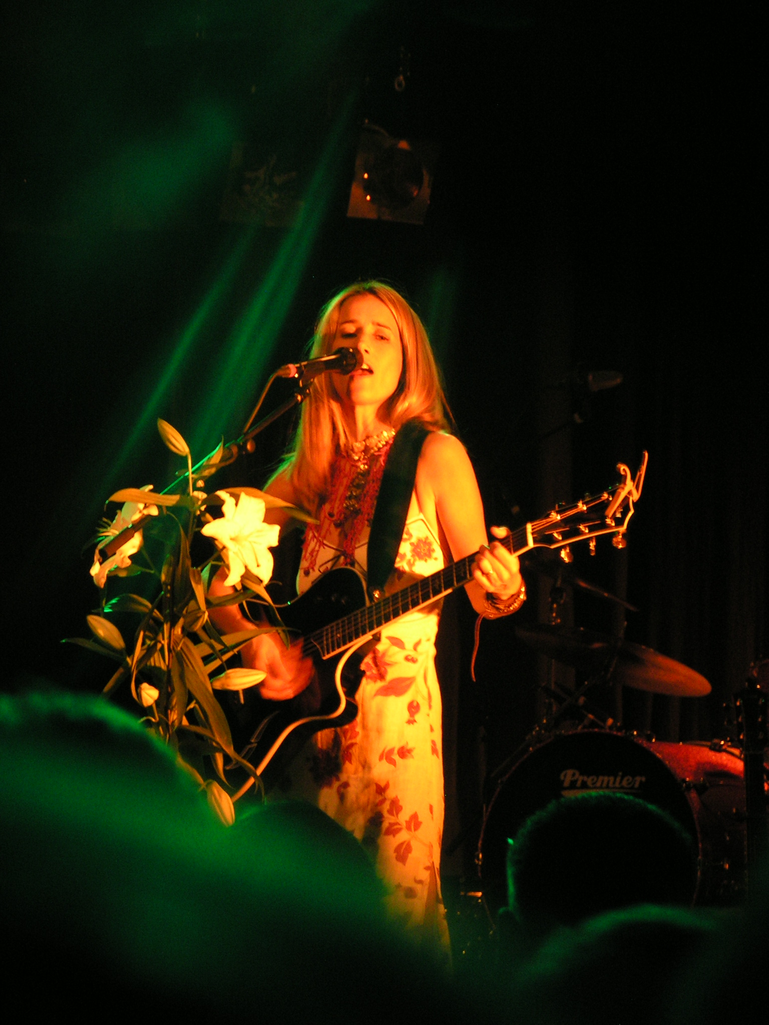 Heather Nova in Eindhoven, the Effenaar on November 17, 2011